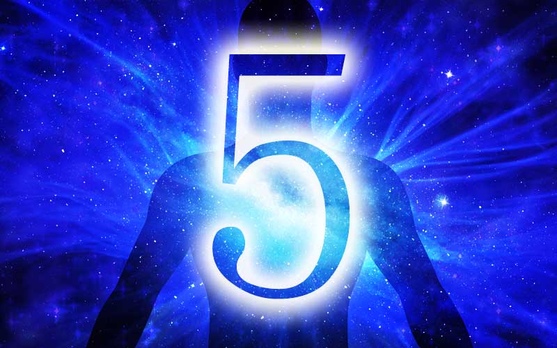 運命数 5 の特徴 有名人